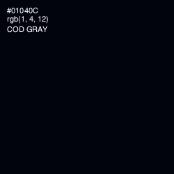 #01040C - Cod Gray Color Image